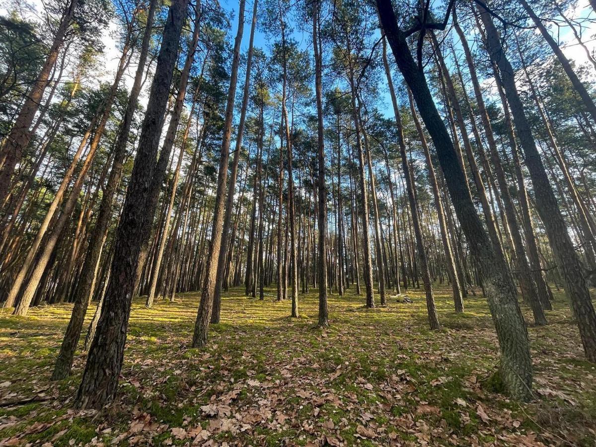 Park Rekreacyjno-Biznesowy Las Woda Вилга Екстериор снимка