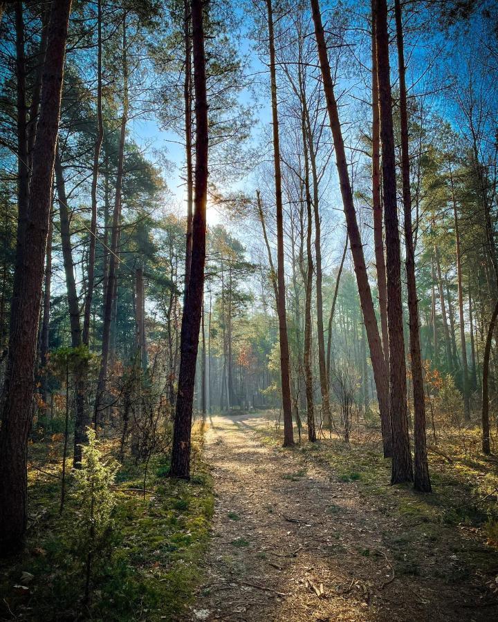 Park Rekreacyjno-Biznesowy Las Woda Вилга Екстериор снимка